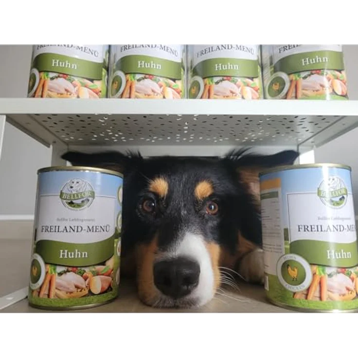 Bellfor Getreidefreies Nassfutter für Hunde, Freiland-Menü mit Huhn, 6x800g, Reich an regionalem Obst & Gemüse, frei von künstlichen Zusätzen, für alle Rassen geeignet – Bild 5