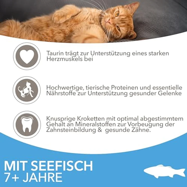 IAMS Senior Katzenfutter trocken mit Fisch, 3 kg - Ausgewogenes Futter für ältere Katzen ab 7 Jahren, reich an tierischen Proteinen, weizenfrei, unterstützt Gesunde Gelenke und starkes Immunsystem – Bild 3