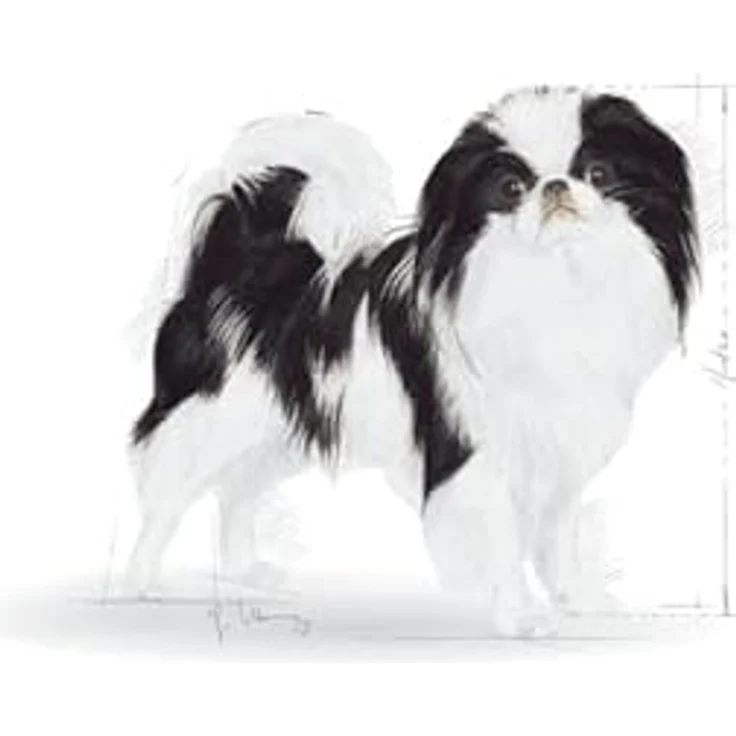 Royal Canin STERILISED X-SMALL, Trockenfutter für kastrierte sehr kleine Hunde bis 4 kg, 1,5 kg – Bild 4