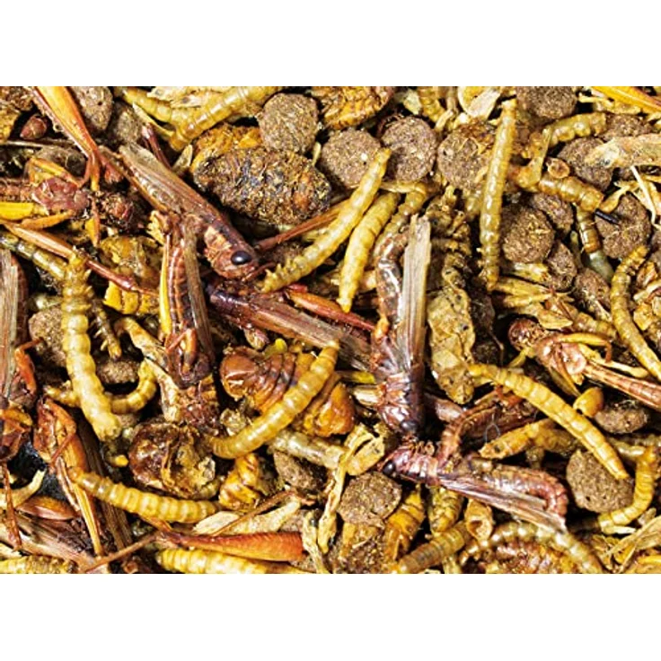 JR FARM Garden Igel-Snack 100g, eiweißreicher Snack mit hochwertigen Zutaten für Igel in Wintervorbereitung – Bild 2