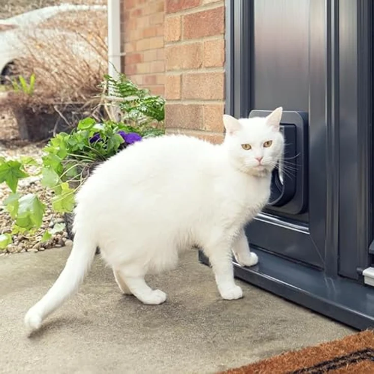 Sure Petcare SureFlap Mikrochip-Katzenklappe, batteriebetrieben, RFID-kompatibel, EIN-Knopf-Steuerung, zur Montage in Türen, Glasscheiben und Wänden, grau/weiß – Bild 5