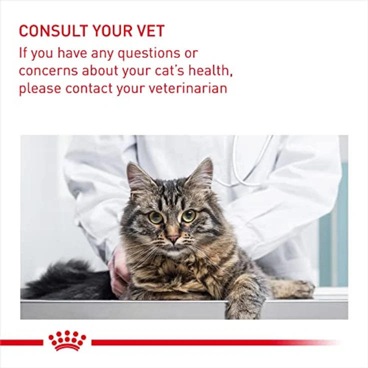 Royal Canin Maine Coon Adult, Nassfutter für Katzen, 12x85g, speziell abgestimmt auf die Ernährungsbedürfnisse von Maine Coons – Bild 9