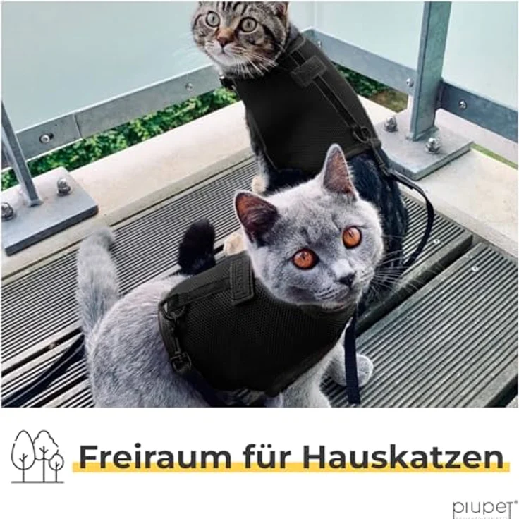 PiuPet® Katzengeschirr (S) mit 1,2m Leine, ausbruchsicher, ergonomisches Design, Schwarz – Bild 5