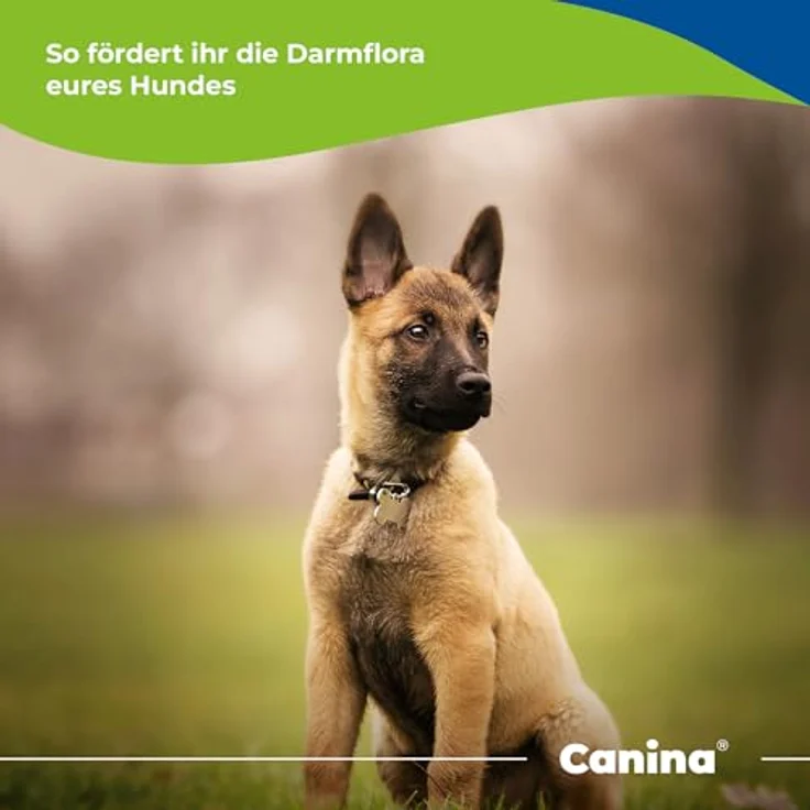 Canina KRÄUTER-DOC® Wumex, 25g Hunde Nahrungsergänzungsmittel zur Unterstützung der Darmflora und Abwehr, 100% natürliche Zutaten – Bild 3