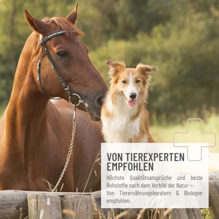 ReaVET Flohsamenschalen für Pferd & Hund, 3kg, naturrein, ballaststoffreich, glutenfrei, ohne Zusätze, Premium Qualität – Bild 4