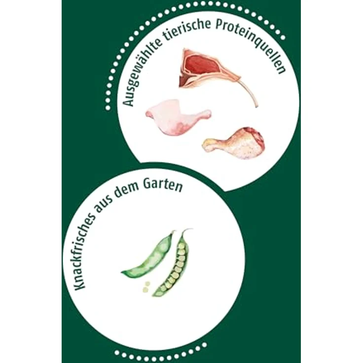 Christopherus Fleischmix mit Lamm, Getreidefreies Nassfutter für Hunde, 6 x 400 g – Bild 4