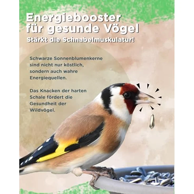 Futterbauer 10 kg Schwarze Sonnenblumenkerne für Vögel, 100% Natur, Hoher Fett- & Vitamin-E-Gehalt, Gereinigt & Getrocknet mit Schale, Ernte 2025 – Bild 3