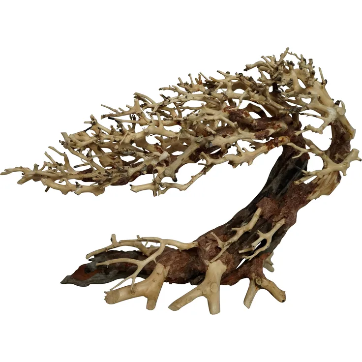 4fish Traerødder, Elegante brasilianische Wurzel, 50x20x40 cm, Aquarium Dekoration