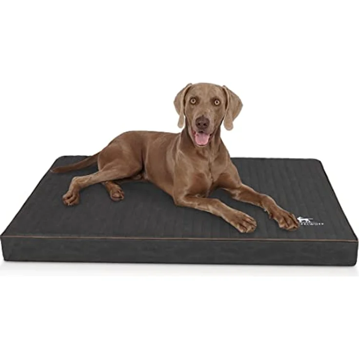 Knuffelwuff Hundematte Palomino, Orthopädisch, 10 cm hoher orthopädischer Kern, verschiedene Farben – Bild 2
