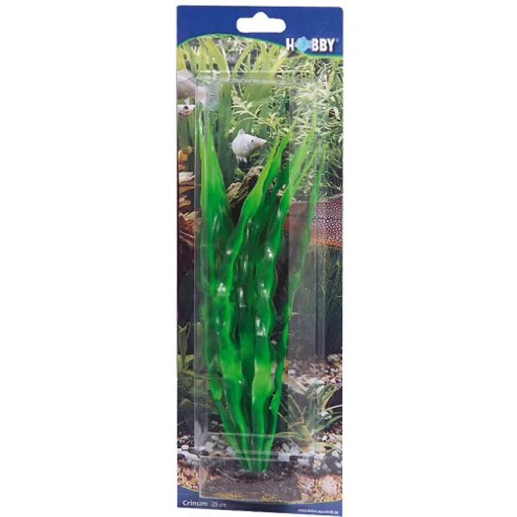 HOBBY Aquariendeko Crinum, 29 cm künstliche Aquariumpflanze mit natürlicher Bewegung und festen Halt im Bodengrund