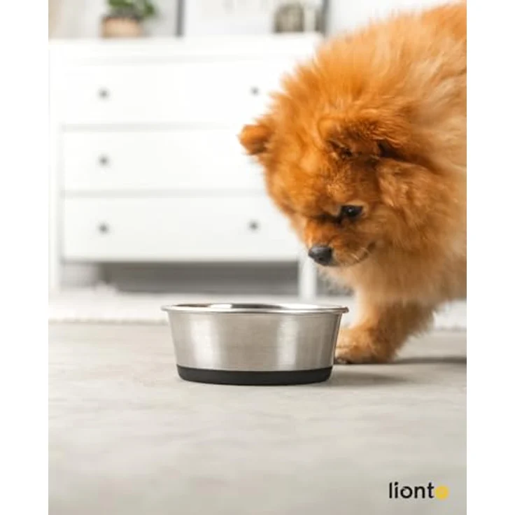 lionto Futternapf aus Edelstahl, 600 ml, rutschfester Silikonboden, spülmaschinenfest, für Hunde und Katzen – Bild 2