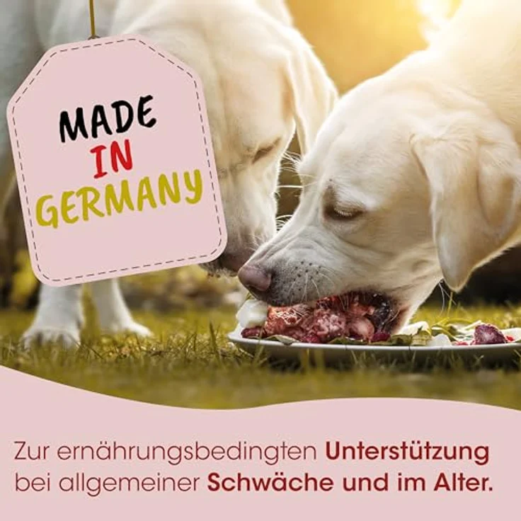 cdVet Fit-BARF Eierschalenpulver, 1 kg, natürliche Kalziumquelle zur Ergänzung bei rohem Fleisch – Bild 5