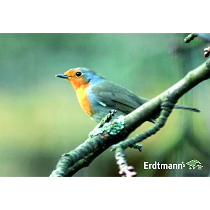 Erdtmann Meisenknödeldach, Vogelhaus mit Aufhängemöglichkeit für Netze, rot, 11 x 10 x 8 cm – Bild 3