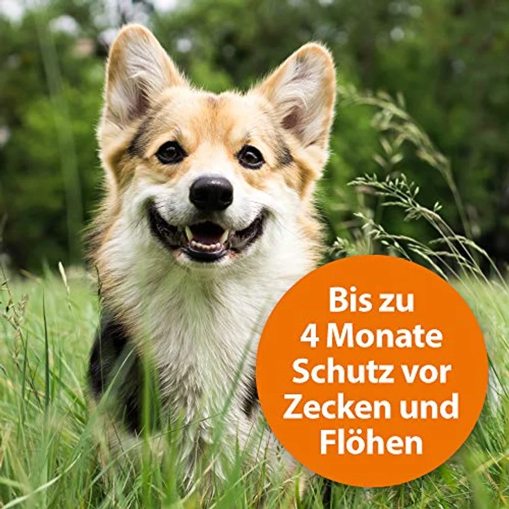 ARDAP Zecken- & Flohschutzhalsband für Hunde & Welpen bis 10kg, bis zu 4 Monate Langzeitschutz mit natürlichem Wirkstoff gegen Zecken & Flöhe, PT19 – Bild 3