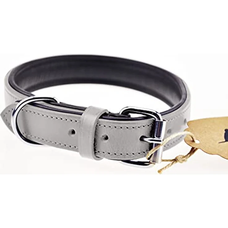 Schnüffelfreunde Hundehalsband aus Leder, gepolstert, robust, für kleine bis große Hunde, Größe S (24-30 cm), Grau – Bild 4