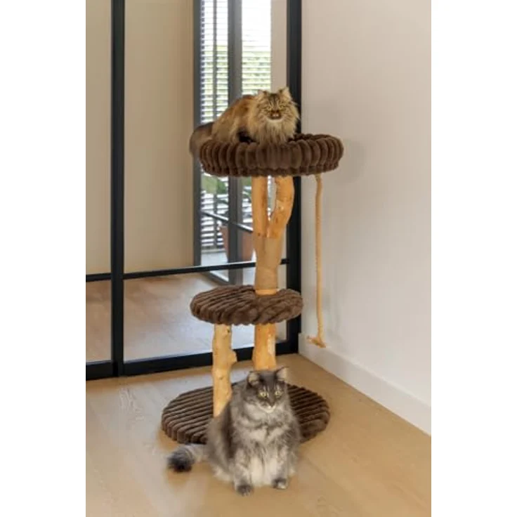 Designed by Lotte Kratzbaum Reya, aus Dattel- und Birnbaumholz für Katzen bis 10 kg, braun – Bild 2