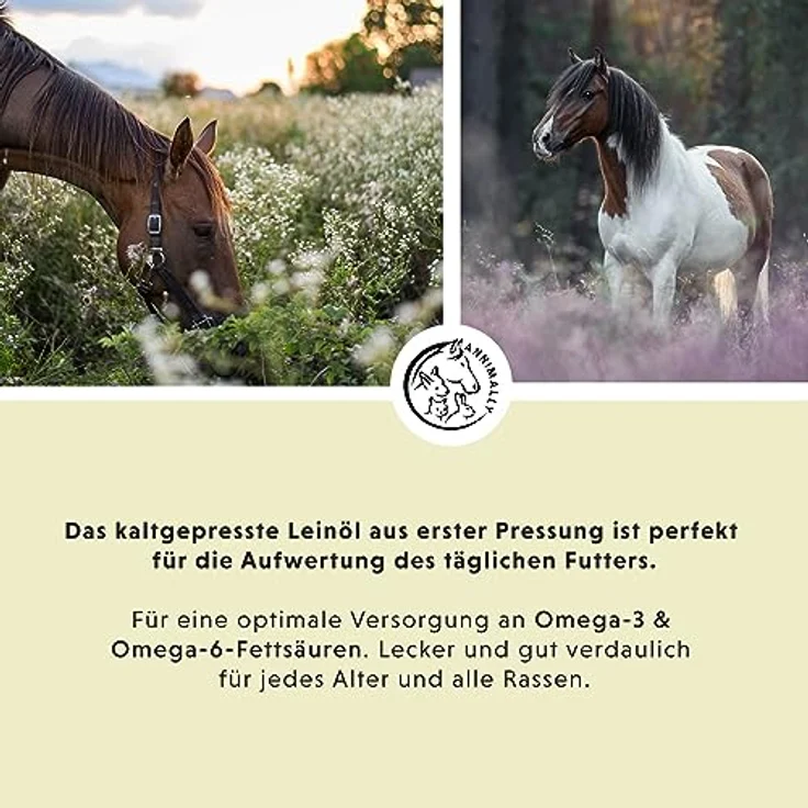 Annimally Premium Leinöl für Pferde & Hunde, 5l Kanister, kaltgepresst, reich an Omega 3 Fettsäuren, 100% natürlich, hergestellt in Deutschland – Bild 2