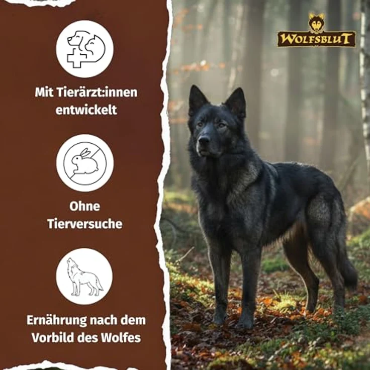 Wolfsblut Dark Forest Adult, Getreidefreies Hunde-Trockenfutter mit Wildfleisch und Superfoods, 12,5 kg – Bild 4
