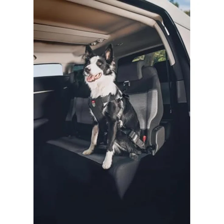 Zolux Travel Safe Auto-Sicherheitsgeschirr für Hunde, ISOFIX + Top Tether, Größe M (8-25 kg), schwarz, 5-Punkt-verstellbar, crash-geprüft ECE R44/R129, waschbar 30 °C – Bild 2