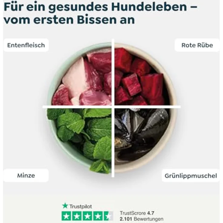 WOW Senior Ente, 6 kg Premium-Hunde-Trockenfutter für ältere Hunde, Single-Protein Rezeptur mit Ente, ohne Getreide, reich an Omega-3 und Omega-6-Fettsäuren – Bild 3