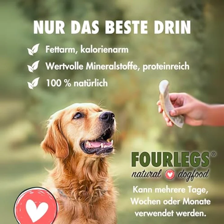 FOURLEGS® natürlicher Kausnack für Hunde aus 100% Hirschgeweih, Größe M, Sparpaket (5 Stück) - mineralstoffreich, geruchsneutral, langlebig, ohne Zusatzstoffe – Bild 3