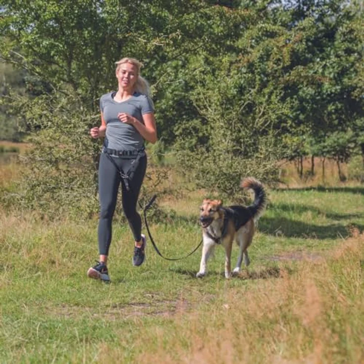 Trixie Bauchgurt mit Leine gepolstert rot mittlere & große Hunde (breit) – Bild 7