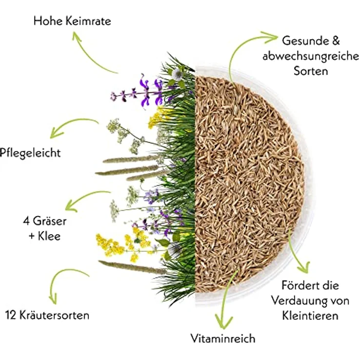HappySeed Kaninchenwiese Samen, 1kg Saatgut für vitaminreiche Kleintierernährung, Pflegeleicht und ganzjährige Anzucht – Bild 4