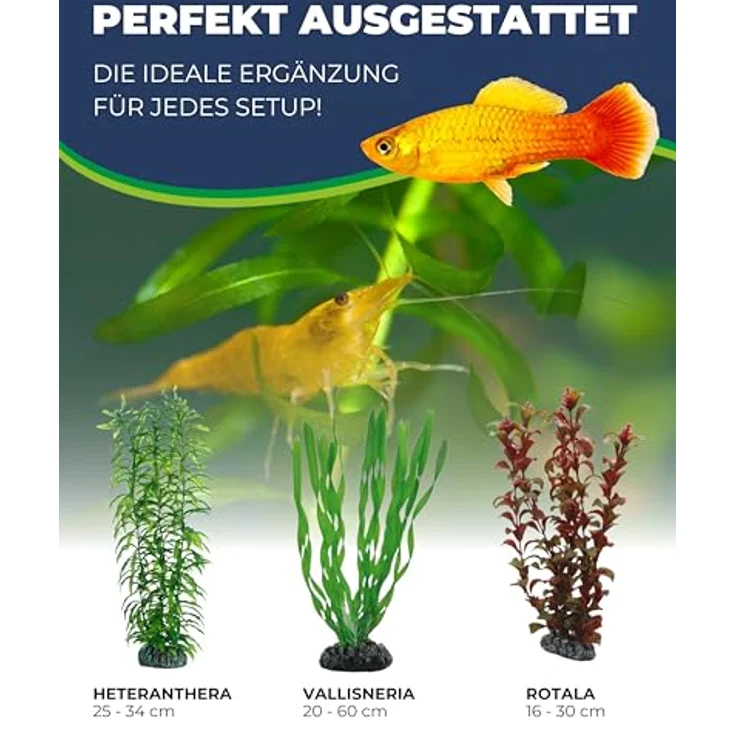 HOBBY Aquariendeko Heteranthera, künstliche Aquariumpflanze 34 cm mit natürlicher Bewegung und Felsenbasis – Bild 4