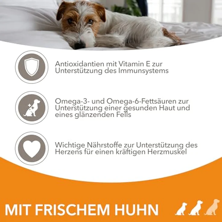 IAMS Hundefutter trocken mit Huhn, Trockenfutter für kleine & mittelgroße Hunde ab 1 Jahr, 82% tierisches Protein, 12 kg – Bild 3