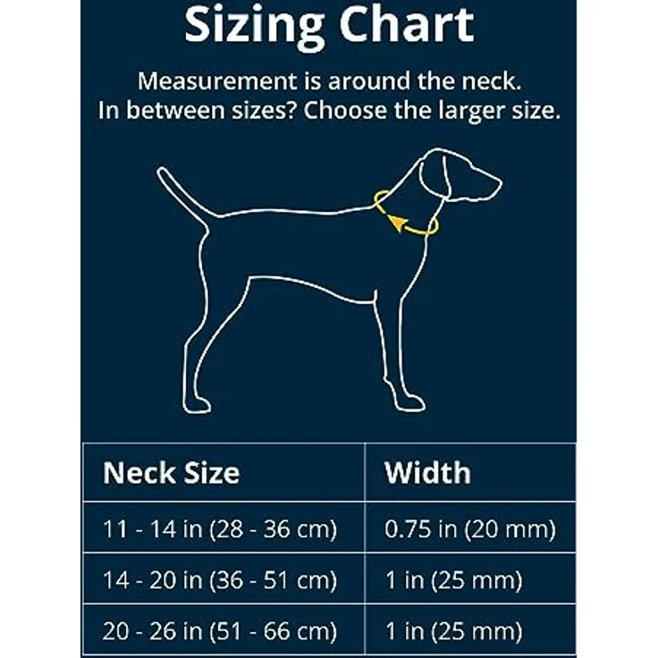 Ruffwear Front Range-Halsband, längenverstellbares Hundehalsband aus weichem Stoff mit V-Ring, Blaze Orange – Bild 2