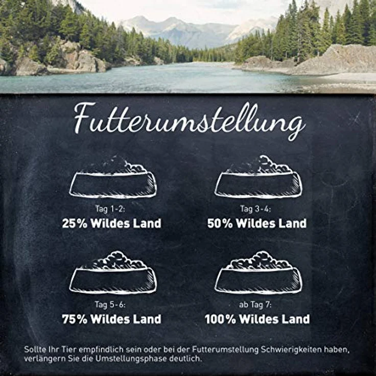 WILDES LAND Lachs, Nassfutter mit hohem Fleischanteil und natürlichen Zutaten für ausgewachsene Katzen, 12x90g – Bild 5