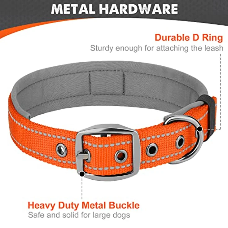 Joytale Halsband Hund, Gepolstert aus Neopren für Große Hunde, Nylon Reflektierend, Orange, mit D-Ring und Anhängerschlaufe – Bild 5