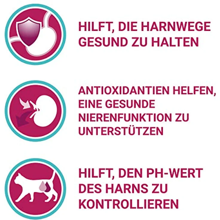 PURINA ONE BIFENSIS Urinary Care, Katzentrockenfutter reich an Huhn & Weizen für gesunde Harnwege, Nieren, Haut, 6er Pack (6 x 1.5 kg) – Bild 3