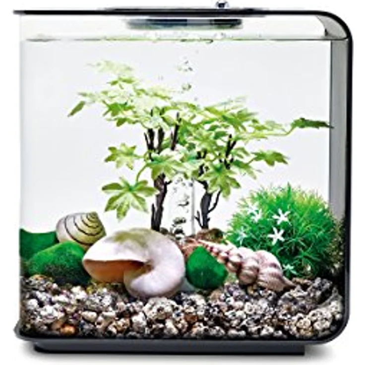 biOrb Decor Set 15L Sommer (55026) – Bild 3