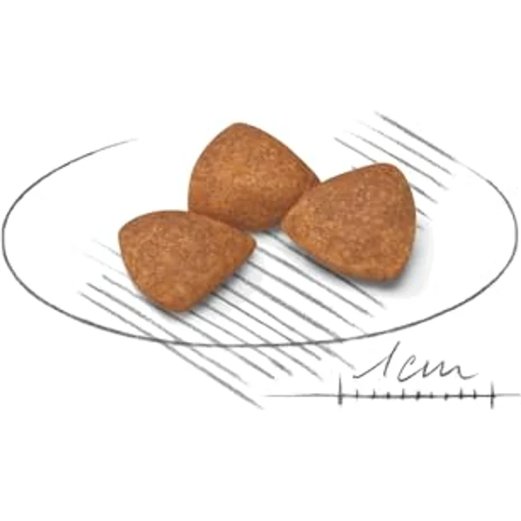 ROYAL CANIN X-Small Ageing 12+, Hundefutter für kleine Hunde ab 12 Jahren, 1,5 kg – Bild 3