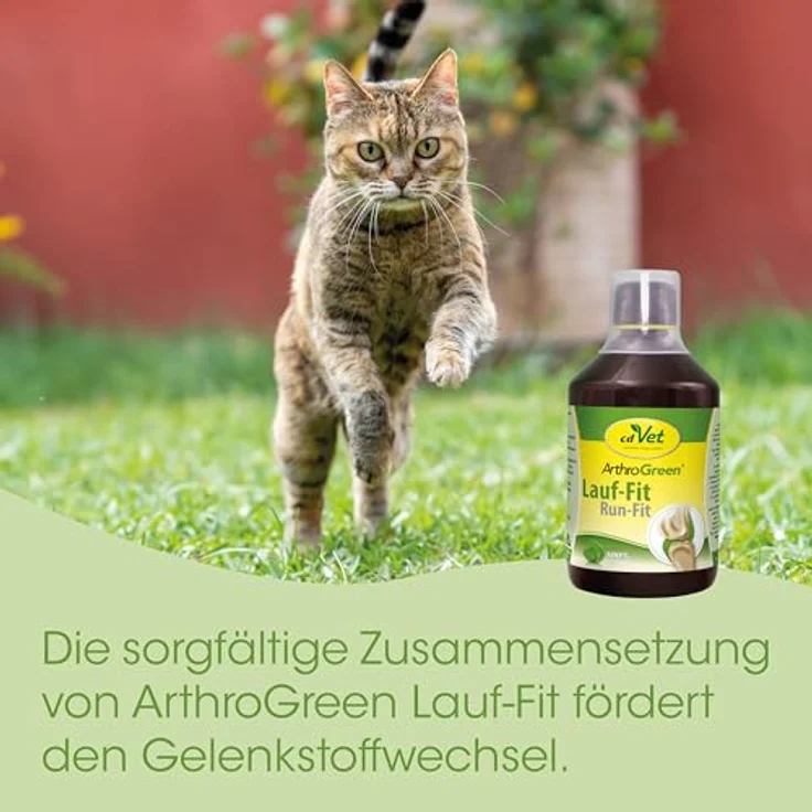 cdVet ArthroGreen Lauf-Fit 100ml, Nahrungsergänzung zur Gelenkunterstützung für Pferd, Hund und Katze mit Kräutern – Bild 8