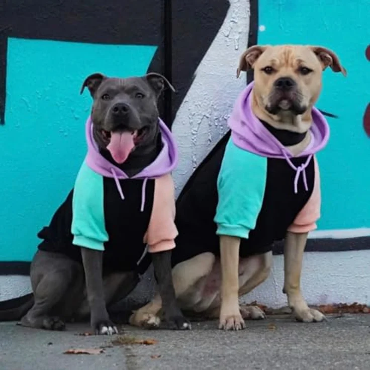 Spark Paws Hunde-Kapuzenpullover, Mehrfarbig Cyber Punk, Premium-Qualität mit beruhigendem Fleece-Innenfutter und optimaler Passform für große Rassen, Größe 4XL – Bild 4