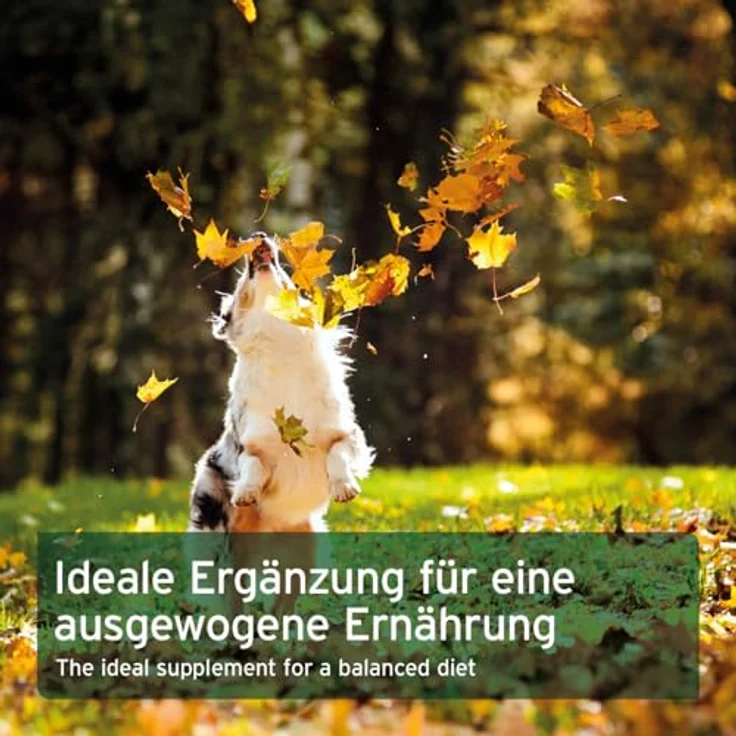 AniForte Barf Naturkräuter Mix für Hunde 250 g - Unterstützt Verdauung und Immunsystem, enthält Enzyme, Chlorophyll & Vitamine, natürliche Futterergänzung – Bild 5