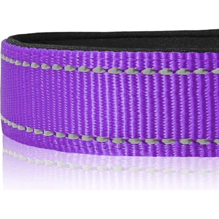 Joytale Gepolstertes Hundehalsband aus Neopren Nylon, Verstellbar und Reflektierend für Welpen, XS, Lila – Bild 4