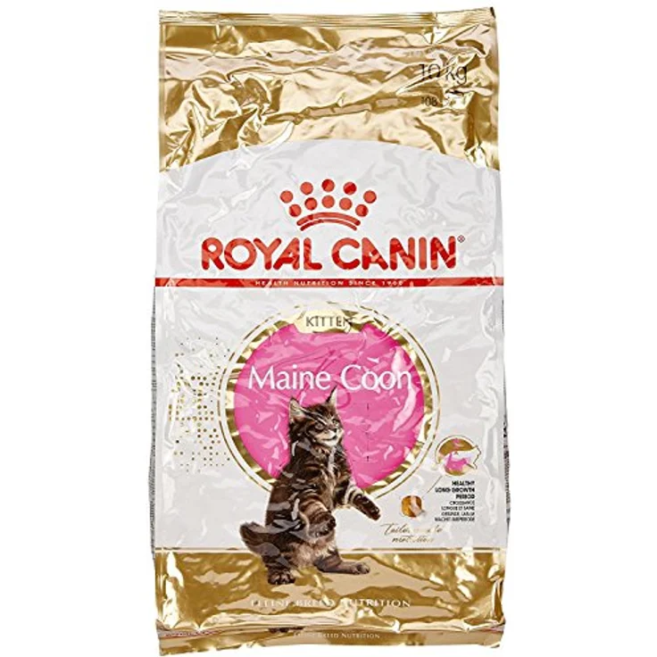 Royal Canin Feline Kitten Maine Coon 36, Katzen-Trockenfutter mit King Size Kroketten, 10 kg – Bild 1