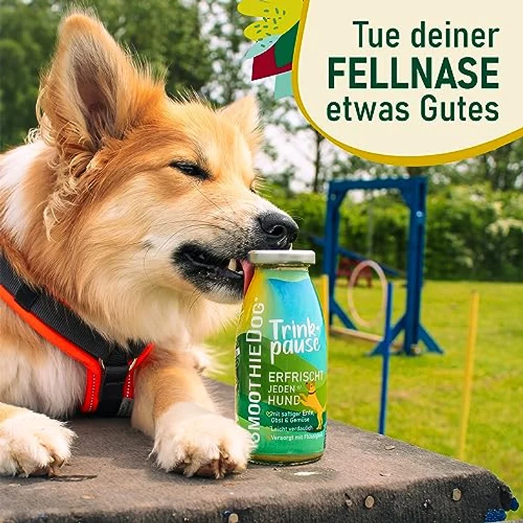 SmoothieDog Hunde Smoothie Trinkpause (Ente) - Flüssiges Hundeleckerli, Zucker- & glutenfrei, 250ml, 6er Set – Bild 4