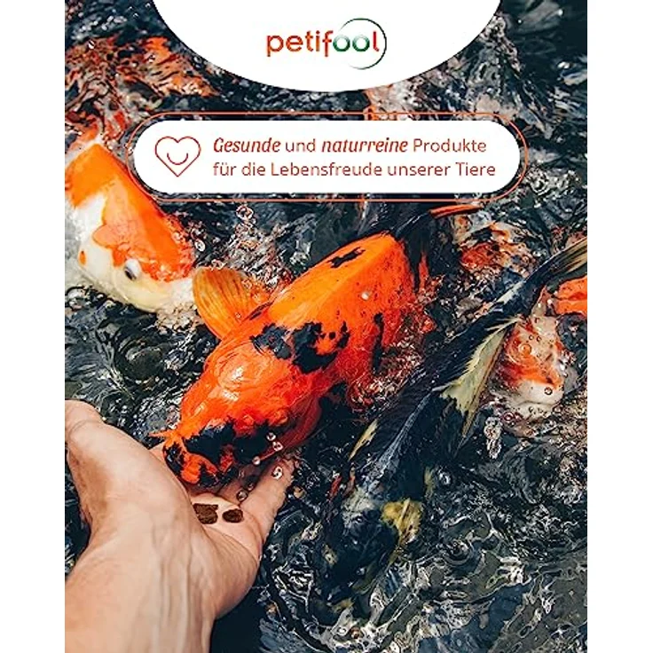 petifool Koi Seidenraupen 1,5kg – getrocknete Seidenraupen, 100% natürlich, proteinreicher Insektensnack für Schildkröten, Fische, Vögel und Reptilien – Bild 5