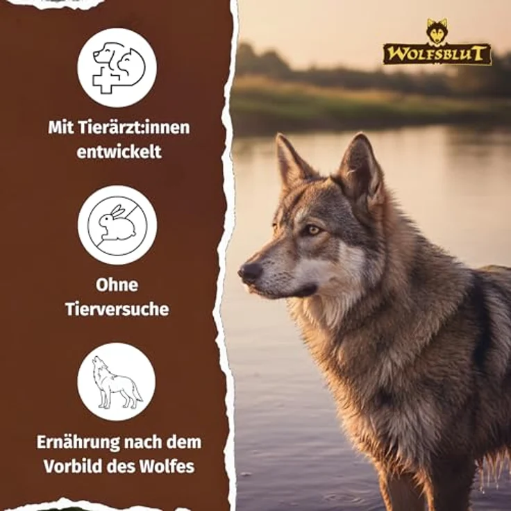 WOLFSBLUT Wide Plain, Hundefutter mit Pferdefleisch und Süßkartoffel, 2 kg - Hochverdauliches Trockenfutter mit Omega-Fettsäuren und Superfoods – Bild 4
