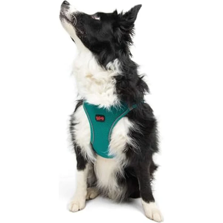 Tailpetz Airmesh-Geschirr XL, leichtes und atmungsaktives No-Pull Geschirr mit reflektierenden Streifen, Smaragd – Bild 1