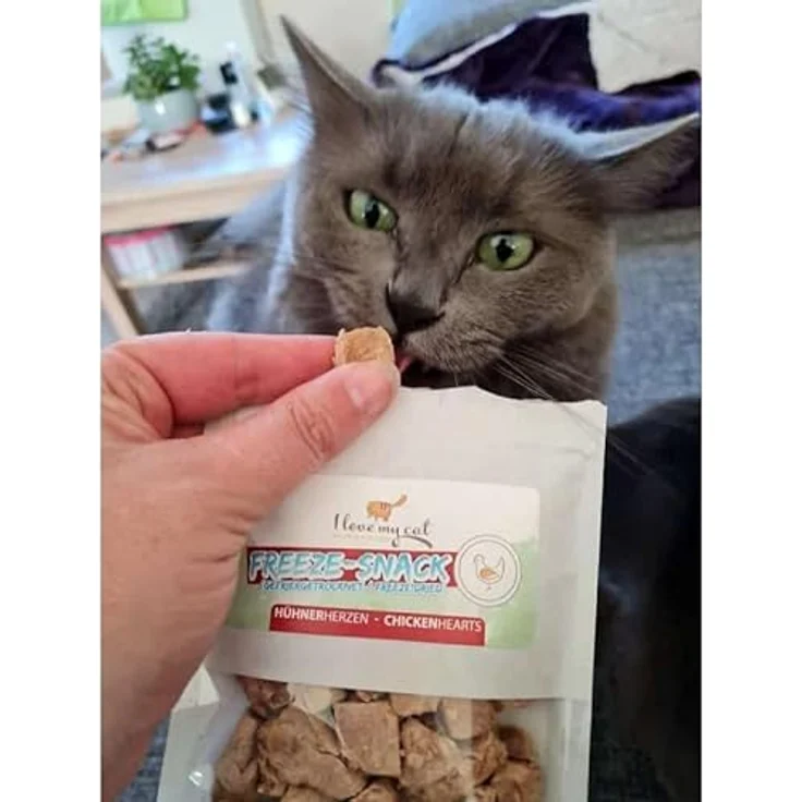 I Love My Cat Freeze-Snacks Sparset, gefriergetrocknete Katzensnacks mit Hühnerherzen, Shrimps, Karotten & Entenbrust, 100 g, natürlich & leicht verdaulich – Bild 4