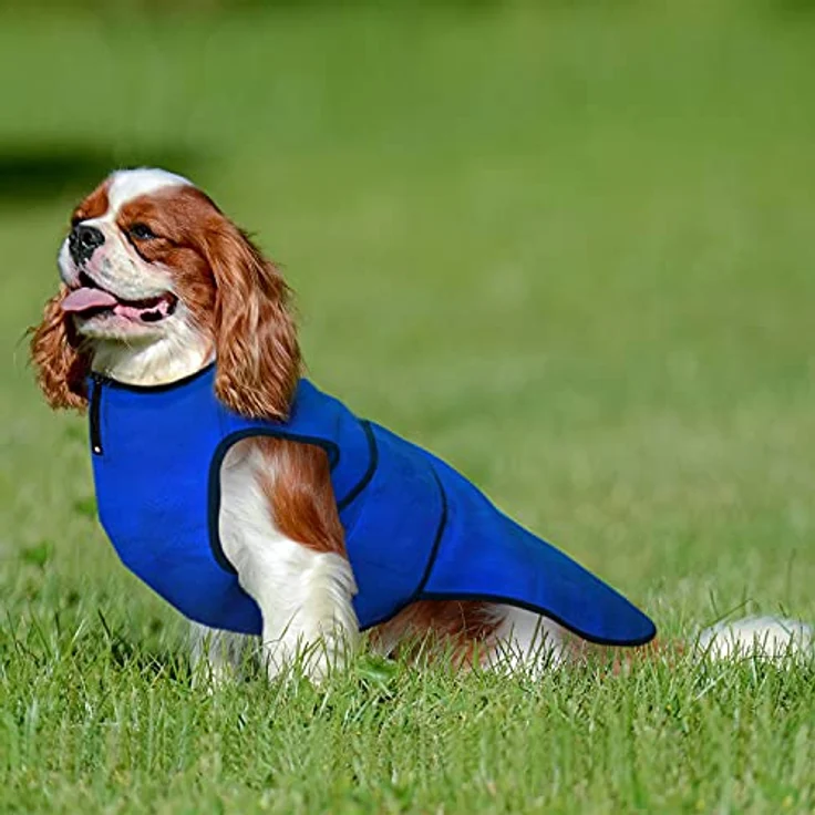 Lautus Pets Hundekühlweste, Leichte Jacke für Kleine Hunde mit Reißverschluss, Ideal für Spaziergänge und Draußen, Schwarz – Bild 4