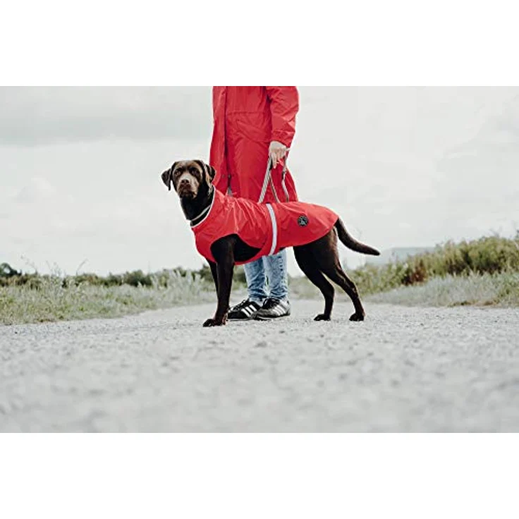 Hunter Hunde-Regenmantel Uppsala Rain rot 35 cm - Preisvergleich – Bild 10
