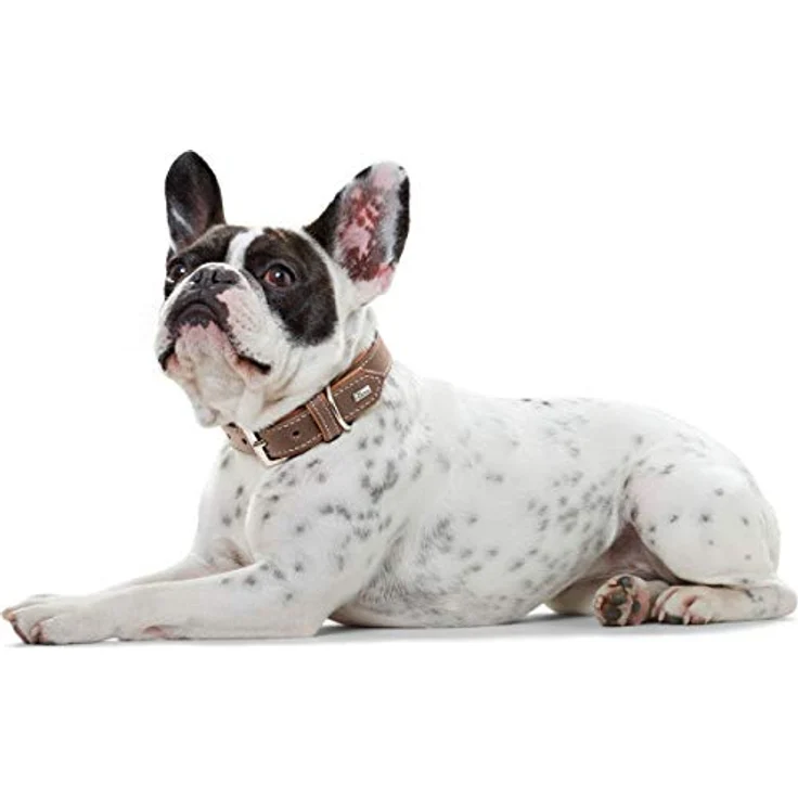 Hunter Hunde-Halsband Porto dunkelbraun-cognac XS-S – Bild 8