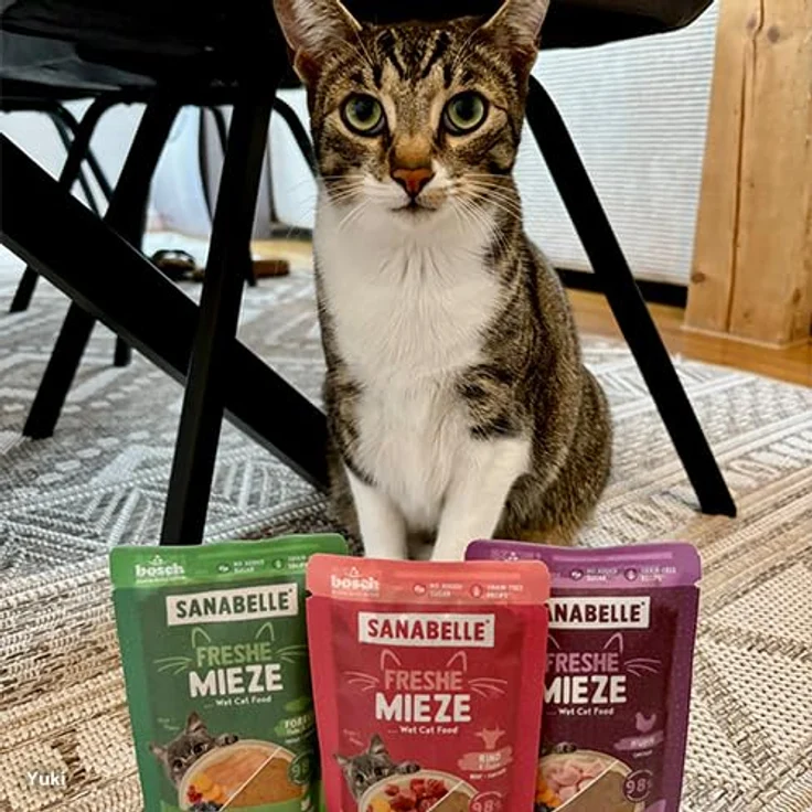 Sanabelle Freshe Mieze Mixtray, Katzen-Nassfutter mit 70% Fleischanteil, getreidefrei, 10x100 g – Bild 3