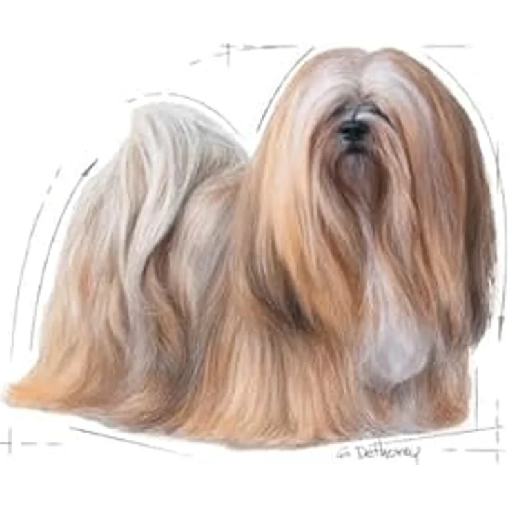 Royal Canin Exigent Nassfutter für wählerische Hunde, 12x85g, mit schmackhaften Zutaten und hochwertigen Proteinen – Bild 6